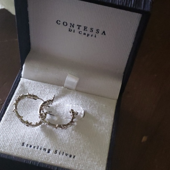 Earrings - Picture 1 of 2